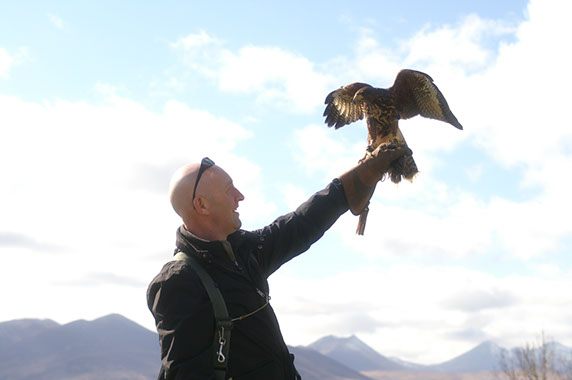 Corporate Falconry Experience 